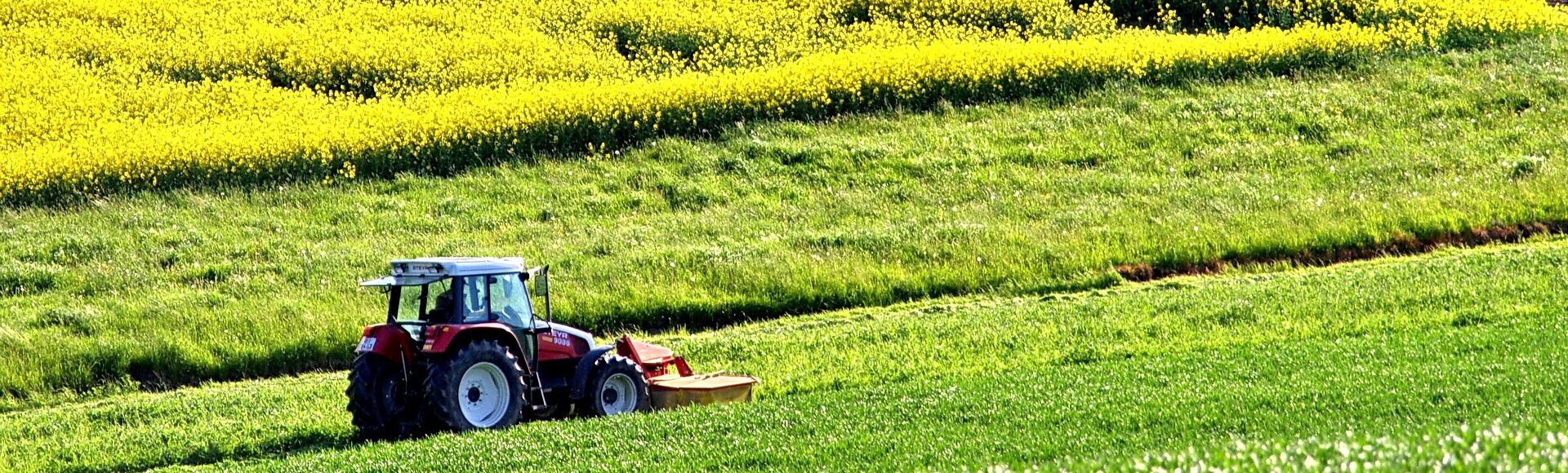 Bilden visar en traktor på ett fält. Traktordelar och traktortillbehör online som harv, slåtter, snökedjor till traktor samt till speciella varumärken som ex. Massey Ferguson.